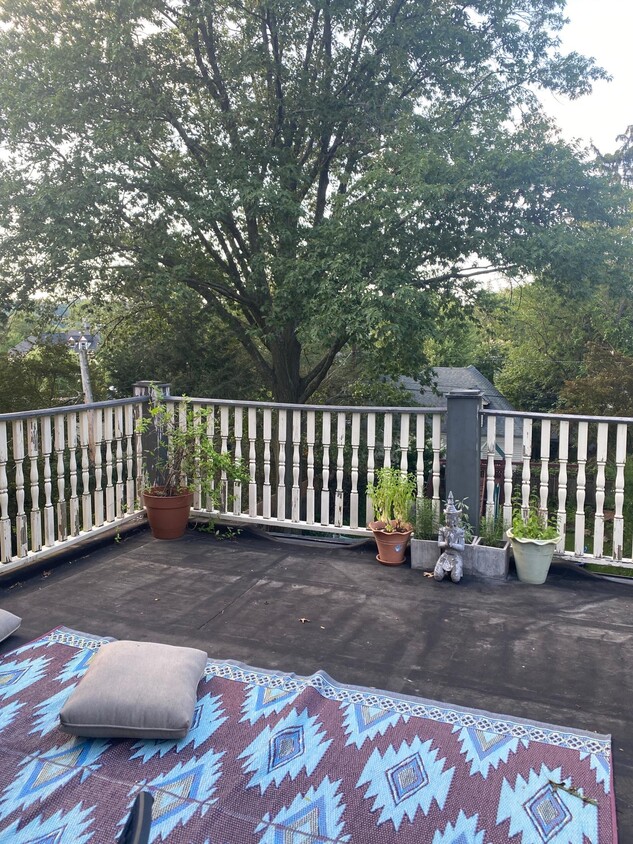 Balcony - 181 Summit Ave