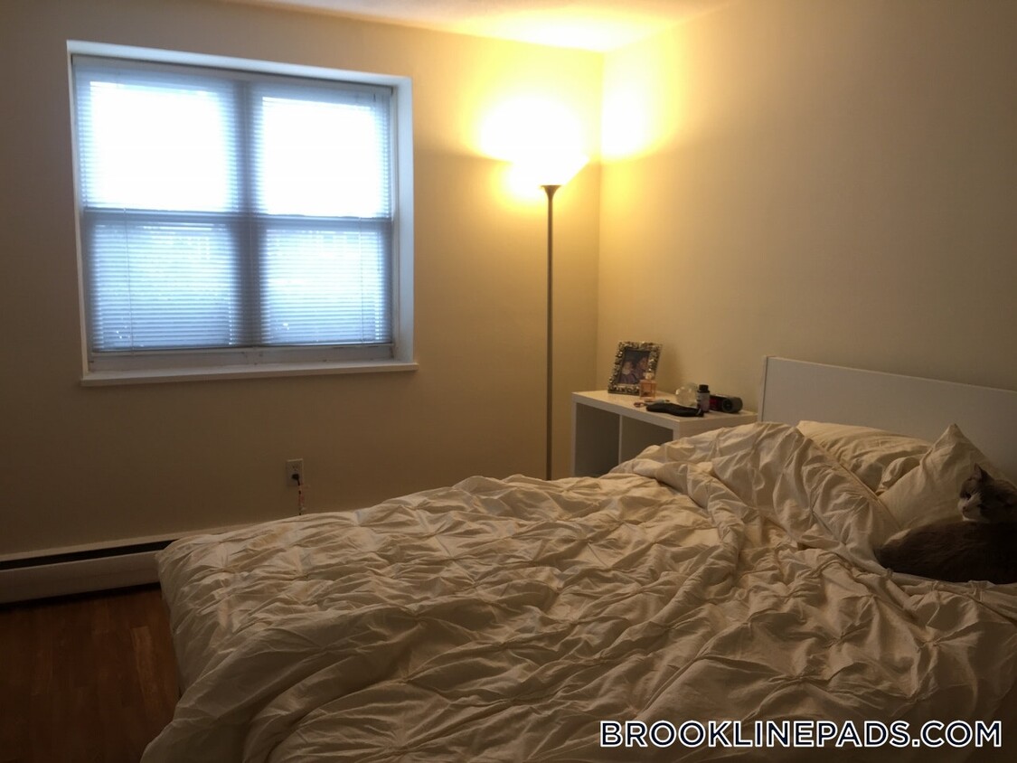 Foto principal - 110 Babcock St