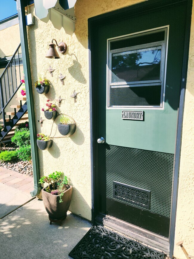 Laundry Facility - 131 Montana St