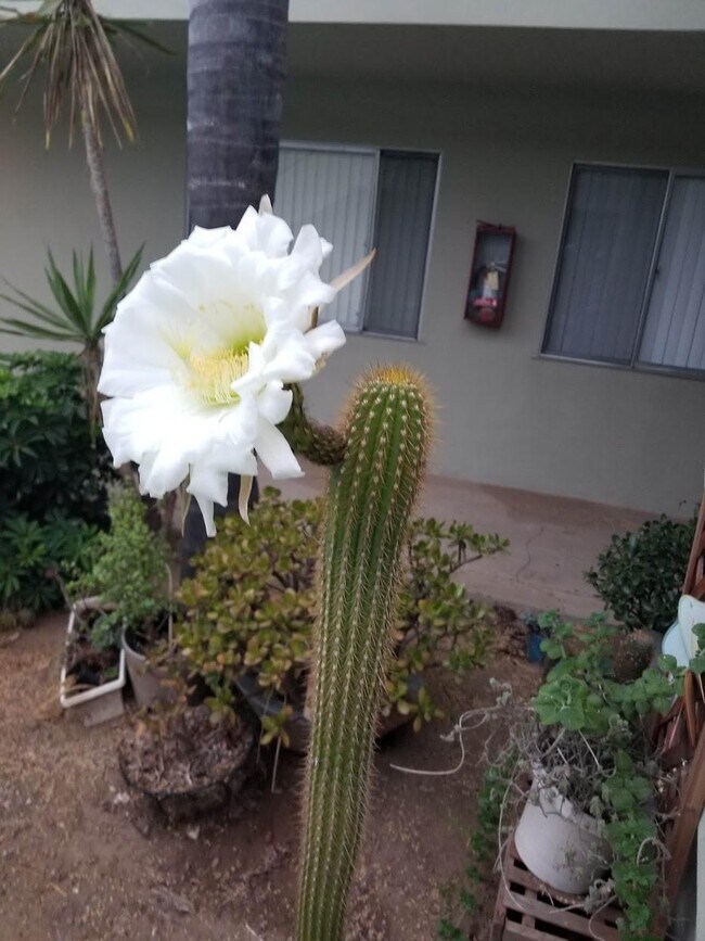 Building Photo - 917 E Madison Ave