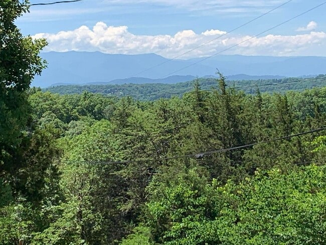 Building Photo - Welcome to this  4-bedroom, 2-bathroom home located in the picturesque Sevierville, TN.