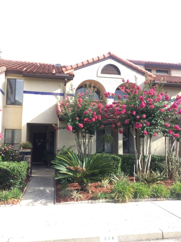 Meticulous Landscaping - 3809 La Vista Cir