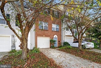 Building Photo - 3231 Halcyon Ct