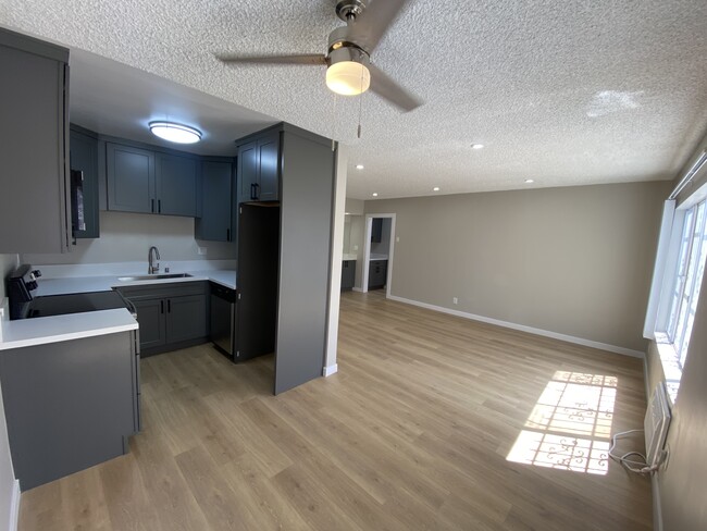 Renovated kitchen 107 - New Hampshire Luxurious Apts