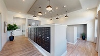 Located at 12202 Huffmeister Road in Cypress, Texas, this single-floor community mail room is a thoughtfully designed shared amenity space. The room is organized around two central, built-in kiosks that house an extensive array of individual black mailboxes, providing secure and convenient mail access for residents. The architectural design features elevated ceilings with a combination of recessed lighting and bold, dome-shaped pendant lights that hang at varying heights, lending the space a modern and polished aesthetic. The flooring throughout is a warm, light-toned wood-look material that adds a welcoming feel underfoot. Accent walls featuring subtle striped wallcovering introduce texture and visual interest, while framed artwork contributes a refined, curated touch. Natural light filters in through windows on one side of the room, brightening the crisp white walls and enhancing the overall openness of the space. Decorative potted plants are positioned thoughtfully around the room, adding organic warmth to the clean, contemporary design. The layout allows for easy circulation around the mailbox kiosks, making the space both functional and visually cohesive. Overall, the mail room offers a well-lit, neatly organized, and attractively finished environment that reflects a high standard of community amenity design.