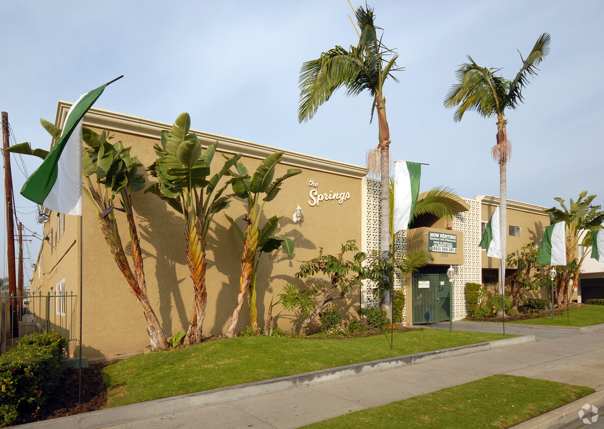 Primary Photo - The Springs Apartments