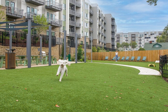 Ello House apartments — community photo - Camden Loho