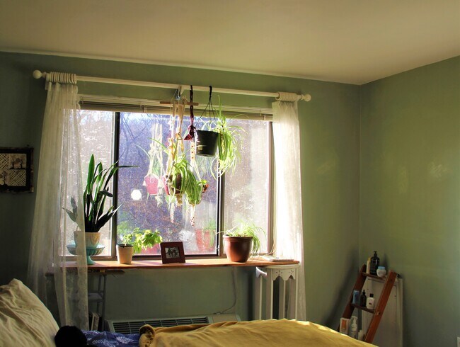 Foto del edificio - 4114 Davis Pl NW