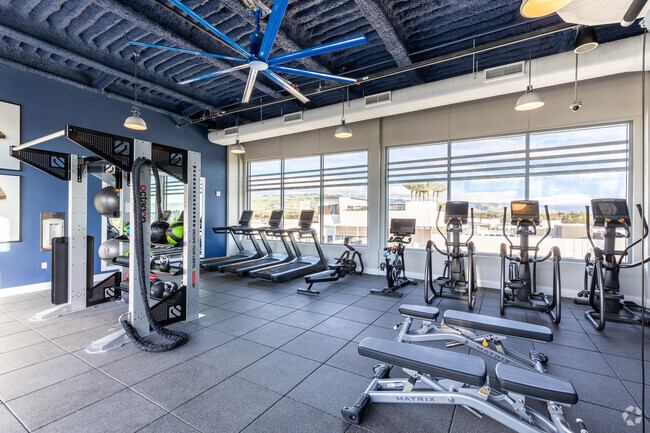 Fitness Room - The Harlowe