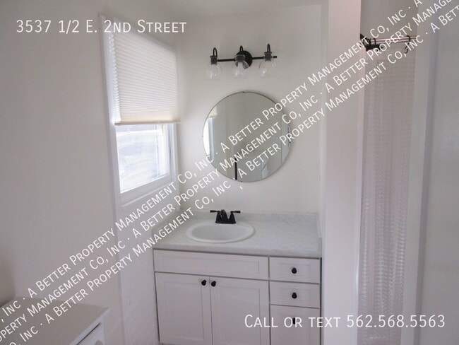 Building Photo - REMODELED Lower Back Studio - ALL NEW - On...