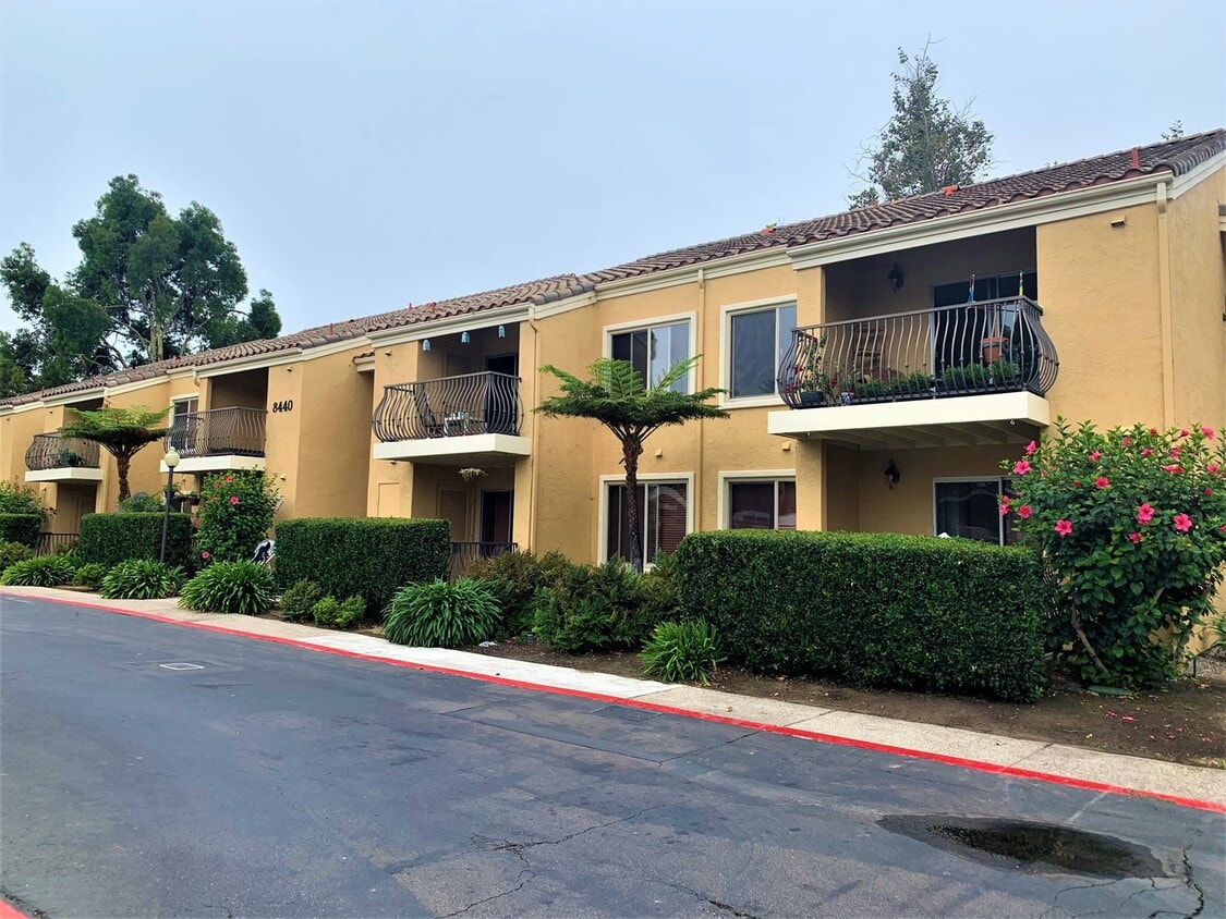 Primary Photo - Upgraded Condo Near UCSD!