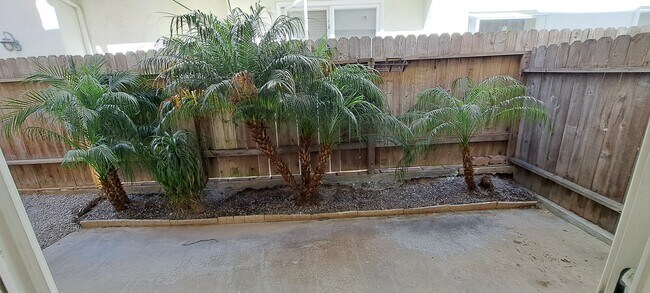 Patio trasero con palmeras - 314 20th St