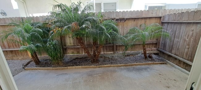 Rear Patio - 314 20th St