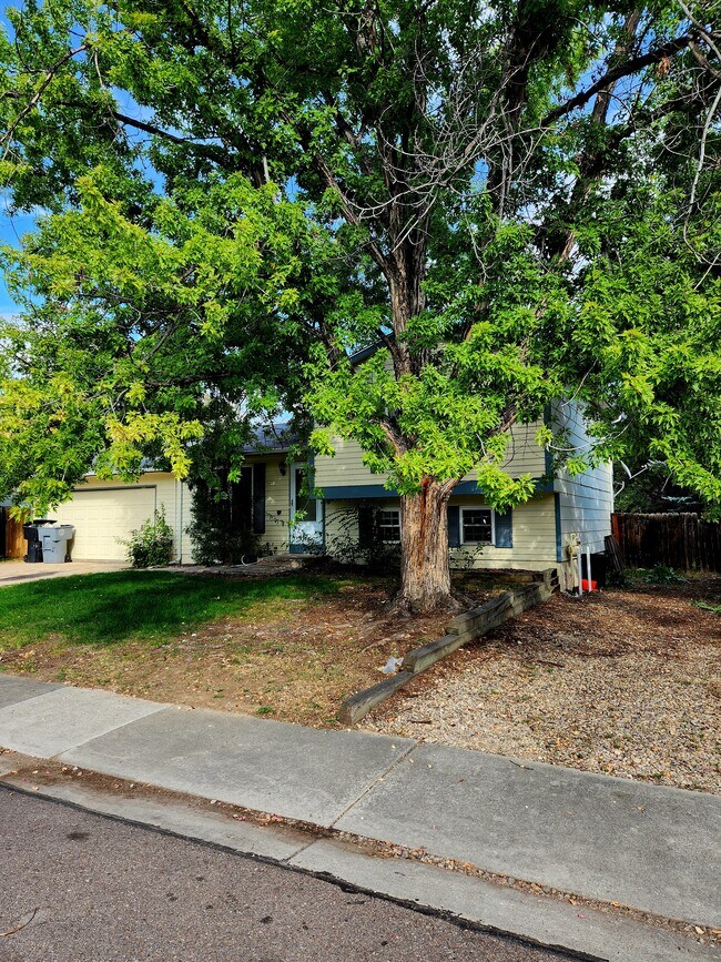 2418 Bowen St, Longmont, CO 80501 House Rental in Longmont, CO