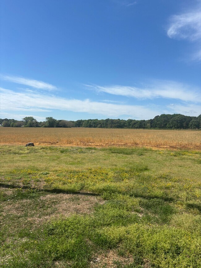 Foto del edificio - 56 Windmill Point Rd