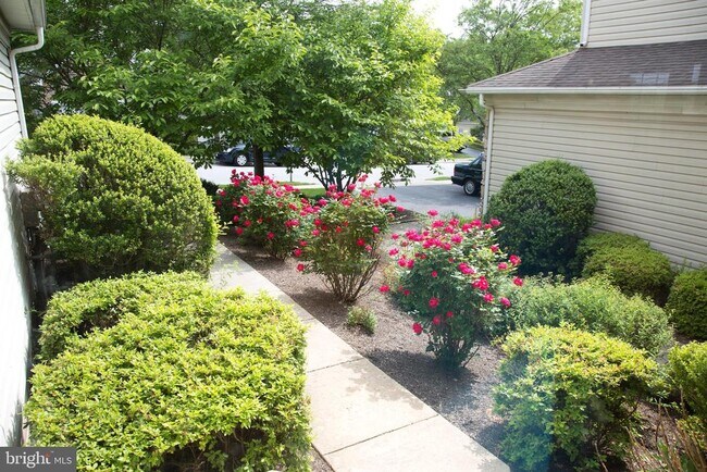 Foto del edificio - 211 Silverbell Ct