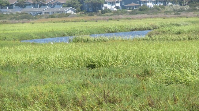 Foto del edificio - At the Beach
