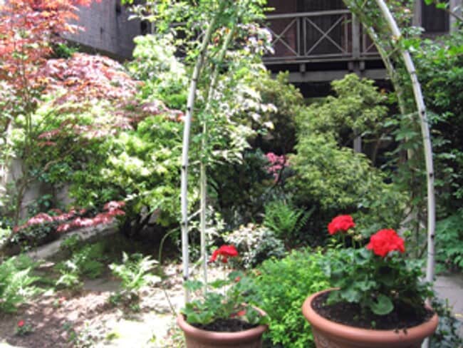 Foto del edificio - 447 W 51st St