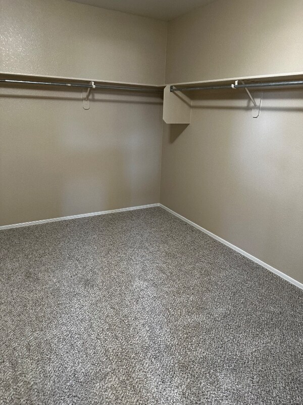 Foto principal - 7362 S MESSALA Ct
