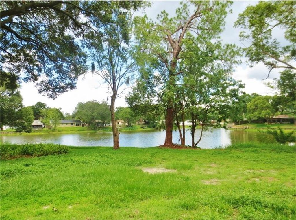 1016 W Bearss Ave, Tampa, FL 33613 House Rental in Tampa, FL