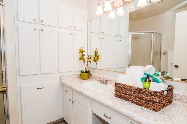 Interior Photo - Park Layne Apartments