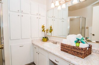 Interior Photo - Park Layne Apartments