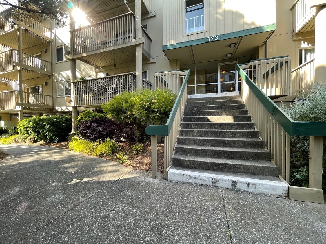 373 Half Moon Ln Unit 309, Daly City, CA 94015 Condo for Rent in Daly