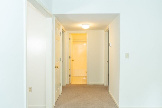 Foto del edificio - 220 Shamrock Rd