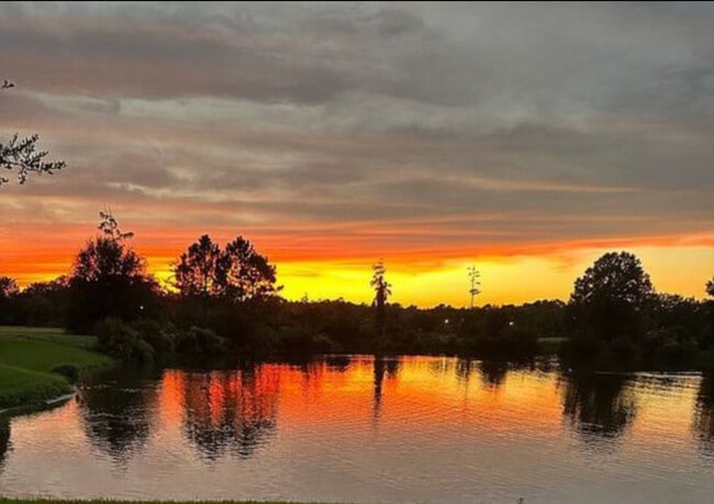 Building Photo - 531 Hedgewood Dr