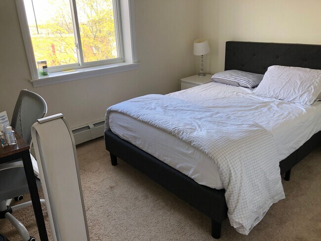 Foto del edificio - Gorgeous 2 bed 1 bath in Allston