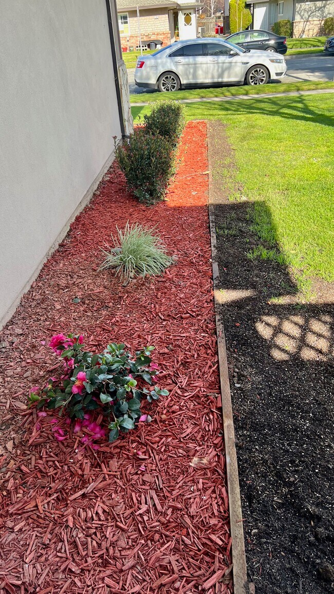 Foto del edificio - 1342 Shawn Dr