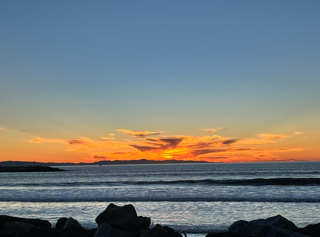 Building Photo - 1248 Marthas Vineyard Ct