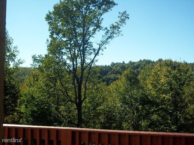 Building Photo - 4 br, 2 bath Apartment - 696 Blue Rock Road
