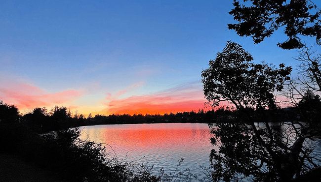 Coucher de soleil Christie Point - Christie Point