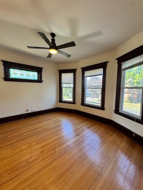 Building Photo - 44 Oakwood Ave