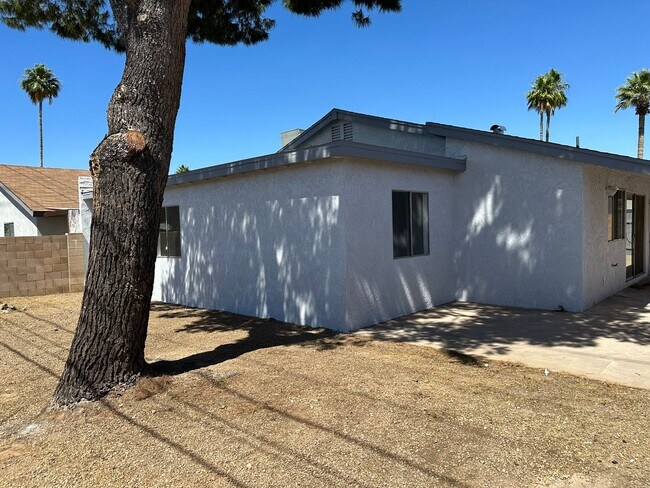 Foto del edificio - Thomas and Pima Rds - Minutes to Old Town Scottsdale!