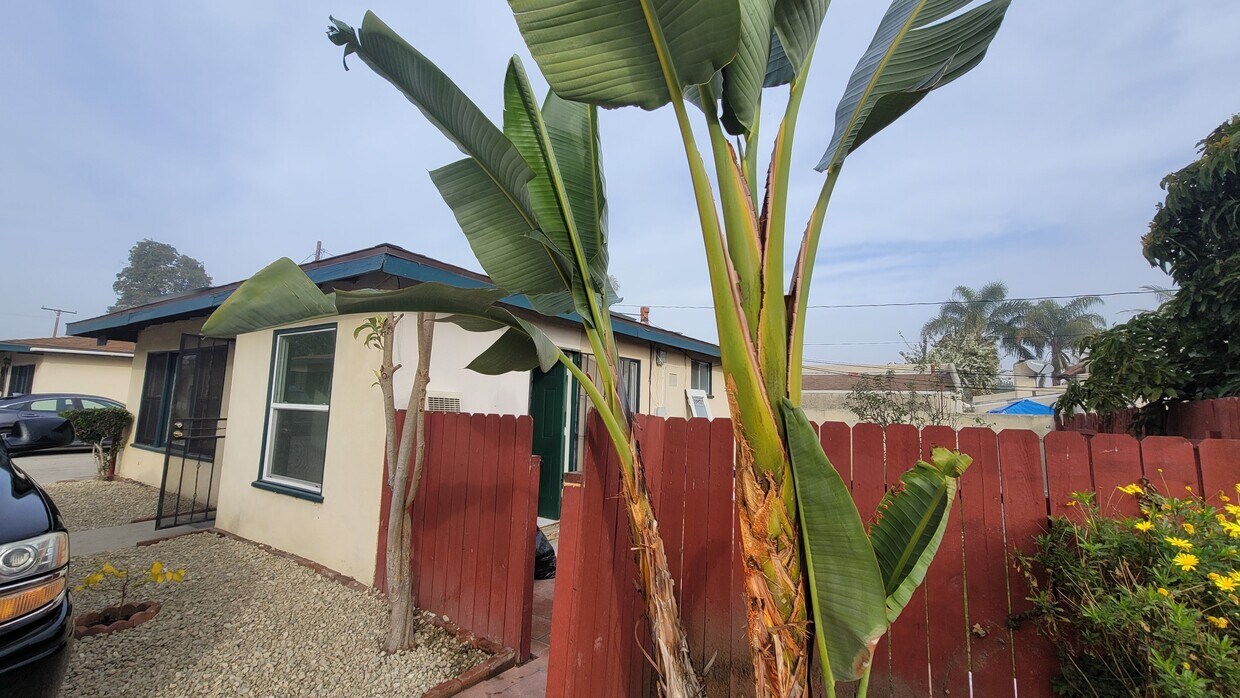 Outside the Vacancy House - 25614 Oak St