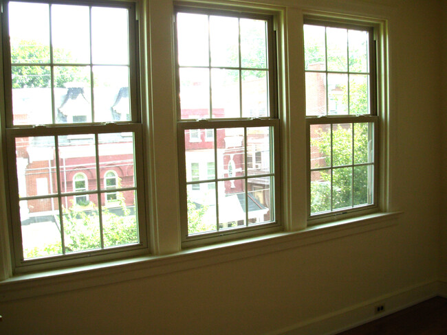 View out living room window - 29 E James St