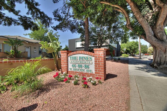 Foto del edificio - The Pines Apartments