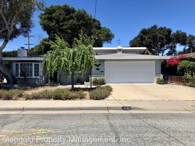 Foto del edificio - 3 br, 2 bath House - 1001 Tweed Street