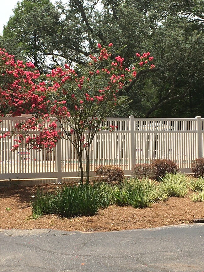 Gunite pool - 3385 E Olive Rd