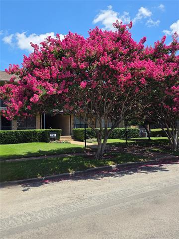 Foto principal - 4211 Newton Ave