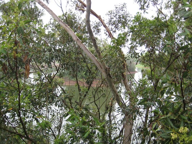 Foto del edificio - 1600 Wilikina Dr