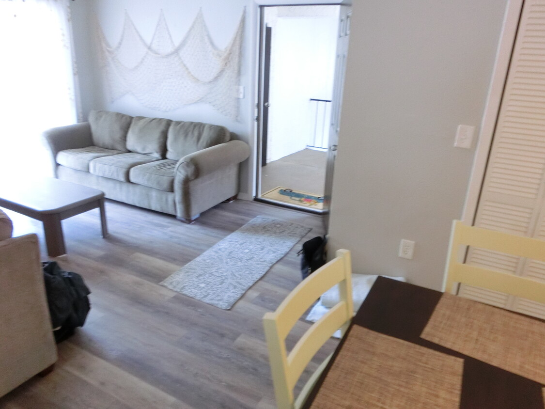 Living Room - 320 N Bayshore Blvd