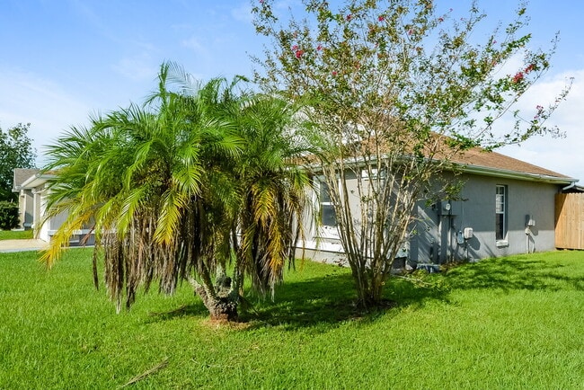 Building Photo - 238 Satinwood Cir