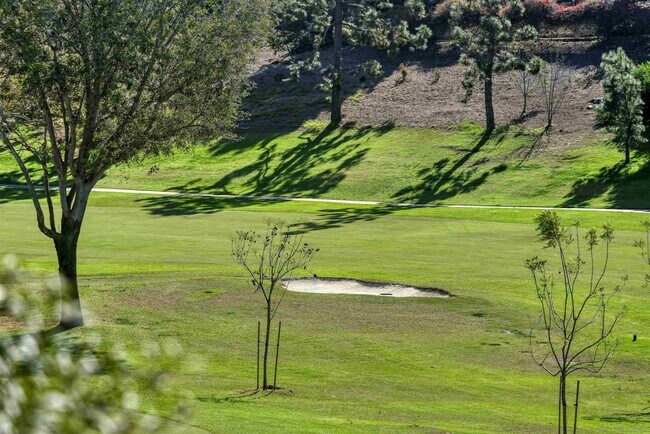 Foto del edificio - 167 Chapala Ct