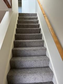 Stairs - 255 Stevens St