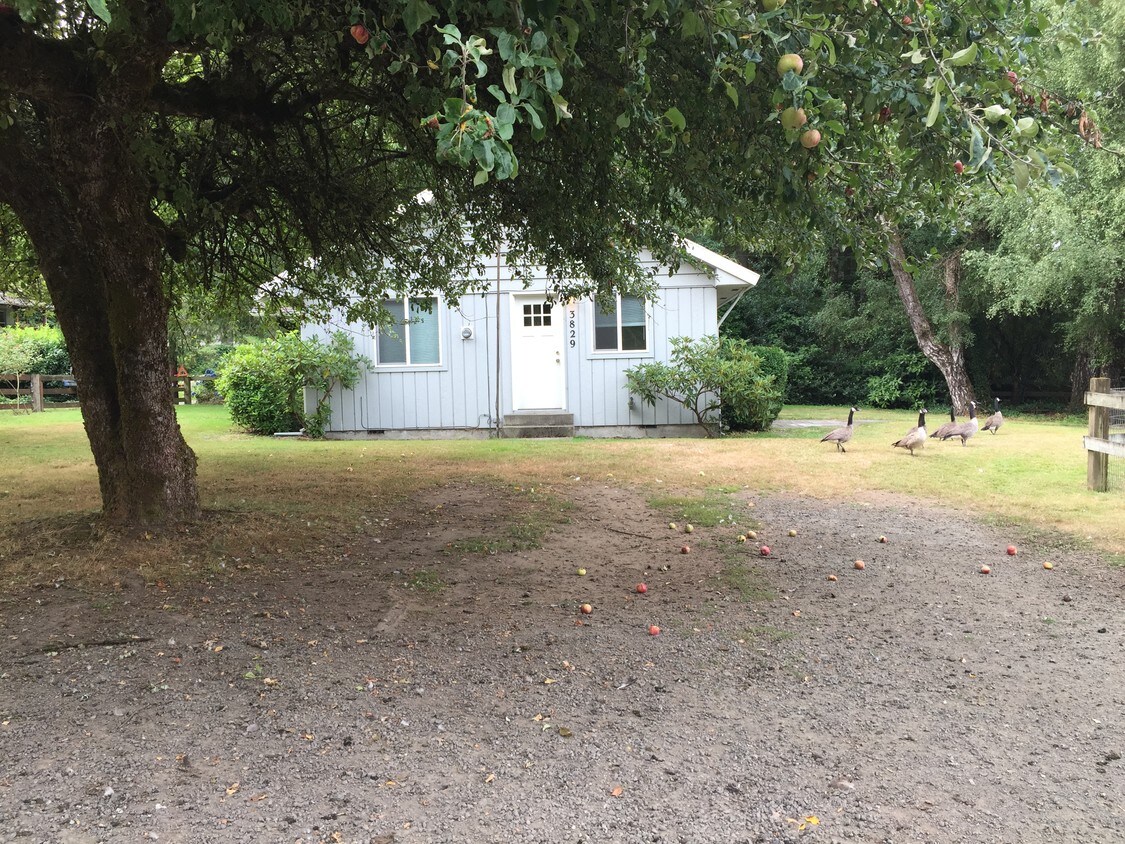 3829 Tracyton Beach Rd NW, Bremerton, WA 98310 House Rental in