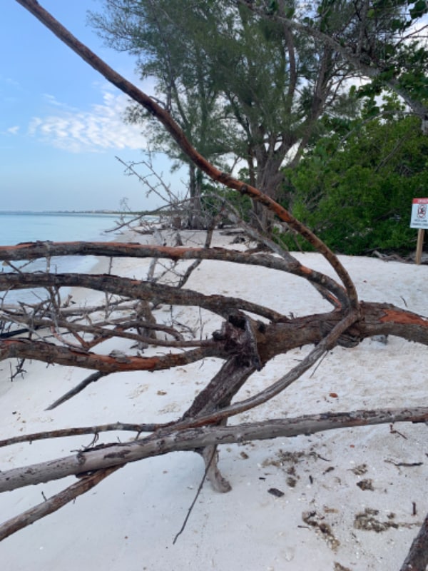 Foto del edificio - 1 Bluebill Ave