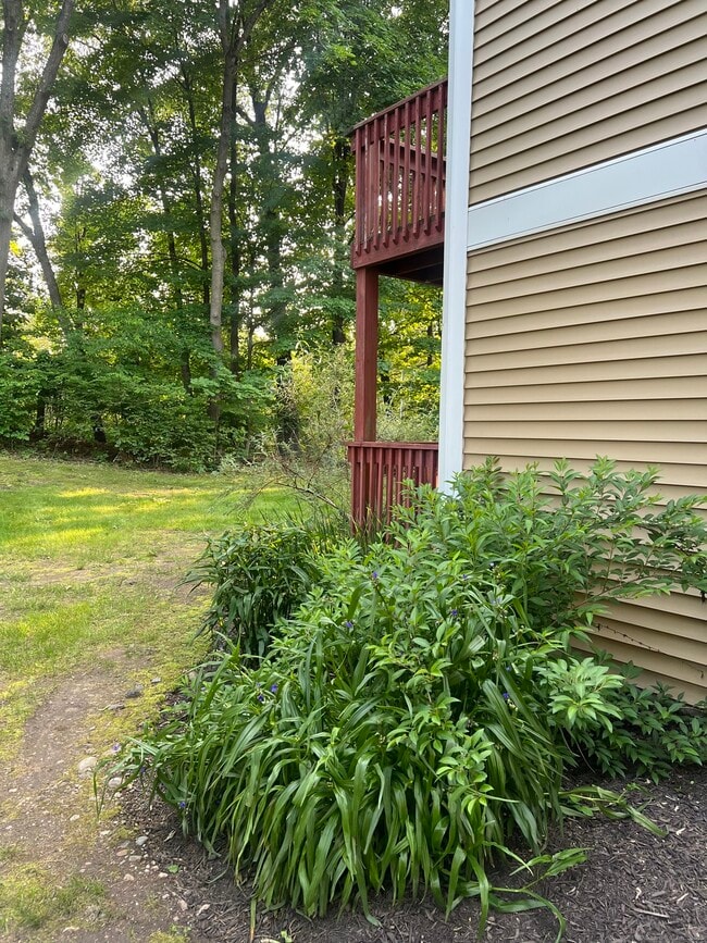 Building Photo - 6 Rose Ln